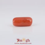 Red Coral - 0.85 Carat