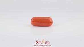 Red Coral - 6.65 Carat