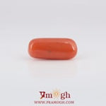 Red Coral - 6.65 Carat