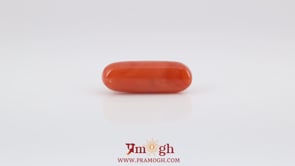 Red Coral - 6.45 Carat