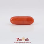 Red Coral - 6.45 Carat