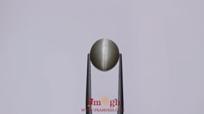 Catseye - 4.85 Carat