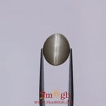 Catseye - 4.85 Carat