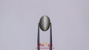 Catseye - 7.2 Carat