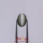 Catseye - 7.2 Carat