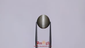 Catseye - 7.05 Carat