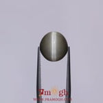 Catseye - 7.05 Carat