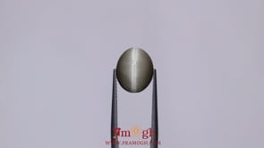 Catseye - 4.65 Carat