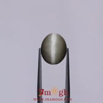 Catseye - 4.65 Carat