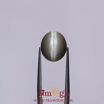 Catseye - 5.2 Carat