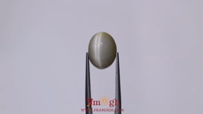 Catseye - 7.7 Carat
