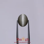 Catseye - 5.1 Carat