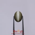 Catseye - 6.65 Carat