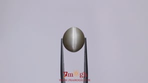 Catseye - 7.3 Carat