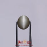 Catseye - 7.3 Carat