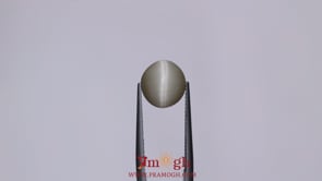 Catseye - 4.85 Carat