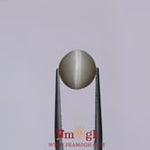 Catseye - 4.85 Carat