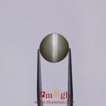 Catseye - 5.4 Carat
