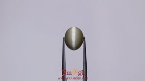 Catseye - 4.75 Carat