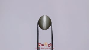Catseye - 5.5 Carat