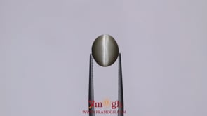 Catseye - 5.95 Carat