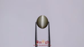 Catseye - 6.3 Carat