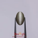Catseye - 4.85 Carat