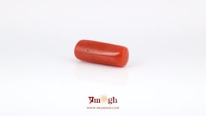 Red Coral - 6.45 Carat
