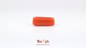 Red Coral - 6.3 Carat