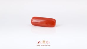 Red Coral - 6.6 Carat