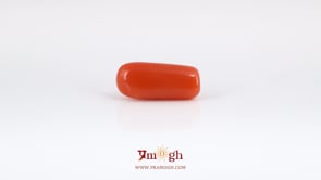 Red Coral - 6.4 Carat