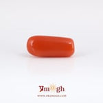 Red Coral - 6.4 Carat