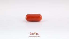 Red Coral - 6.45 Carat
