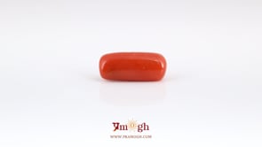 Red Coral - 6.35 Carat