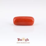 Red Coral - 6.35 Carat