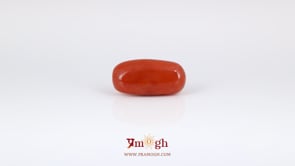 Red Coral - 6.3 Carat