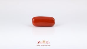 Red Coral - 8.35 Carat