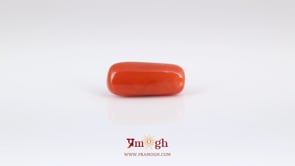 Red Coral - 6.35 Carat