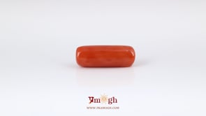 Red Coral - 7.7 Carat