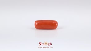 Red Coral - 6.3 Carat