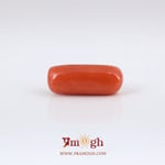 Red Coral - 6.3 Carat