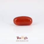 Red Coral - 6.7 Carat