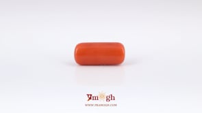 Red Coral - 6.9 Carat