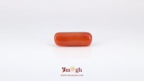 Red Coral - 6.3 Carat