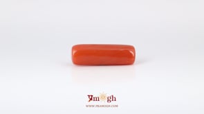 Red Coral - 7.95 Carat