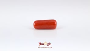 Red Coral - 6.65 Carat