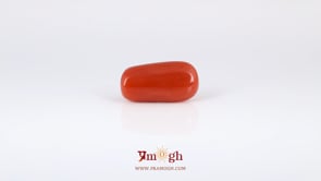 Red Coral - 6.85 Carat
