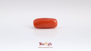 Red Coral - 6.8 Carat