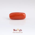Red Coral - 6.8 Carat