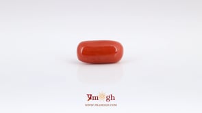 Red Coral - 6.55 Carat